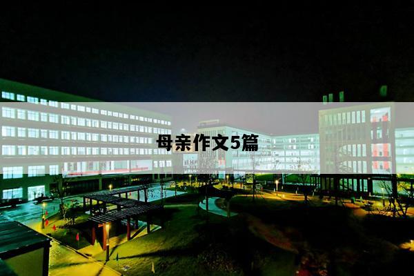 母亲作文5篇