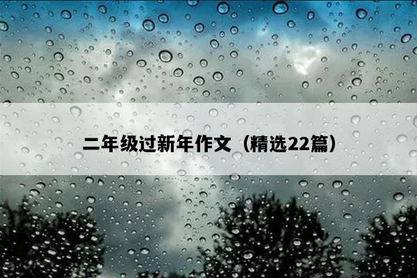 二年级过新年作文（精选22篇）