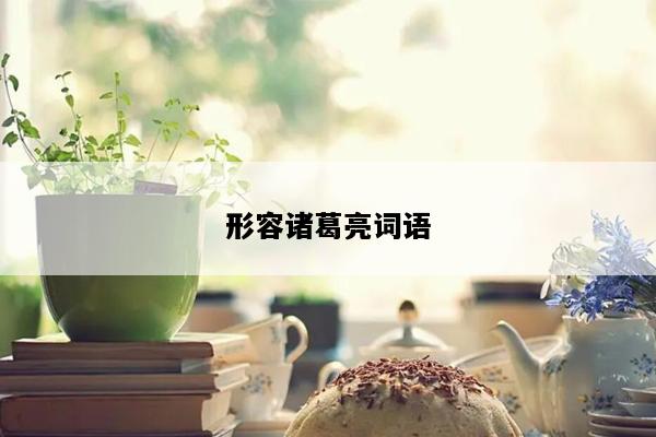形容诸葛亮词语