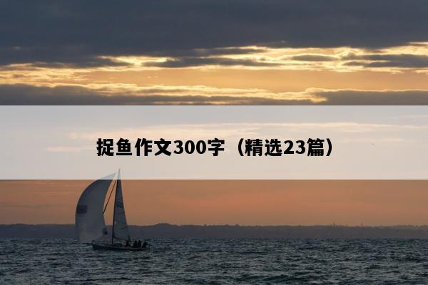 捉鱼作文300字（精选23篇）