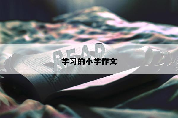学习的小学作文