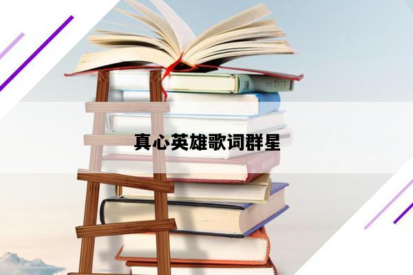 真心英雄歌词群星