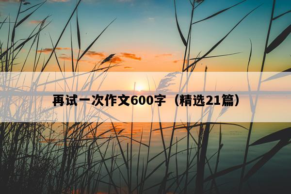 再试一次作文600字（精选21篇）