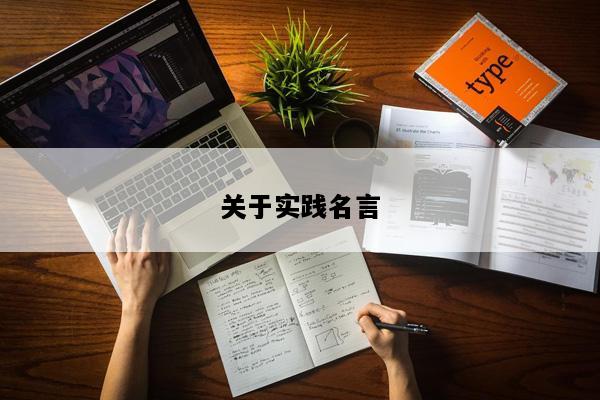 关于实践名言