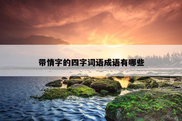 带情字的四字词语成语有哪些
