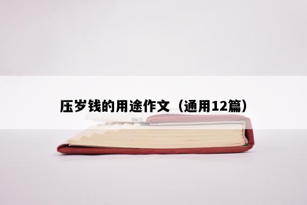 压岁钱的用途作文（通用12篇）