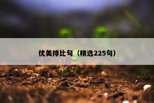 优美排比句（精选225句）