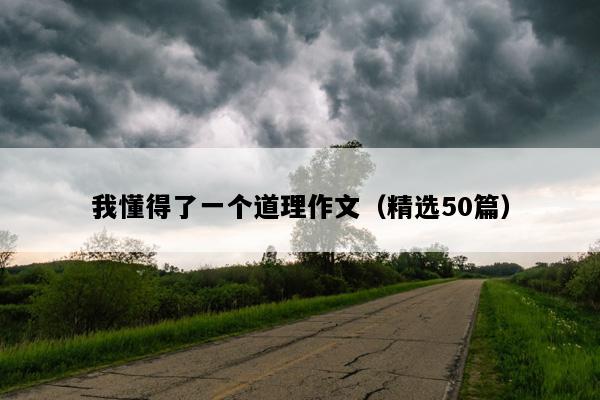 我懂得了一个道理作文（精选50篇）