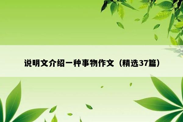 说明文介绍一种事物作文（精选37篇）