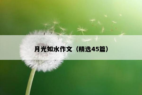 月光如水作文（精选45篇）