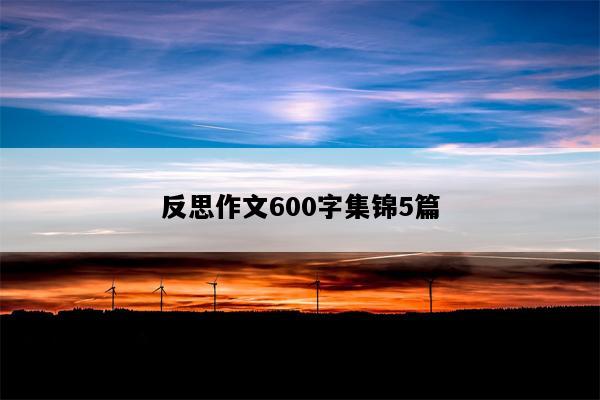反思作文600字集锦5篇
