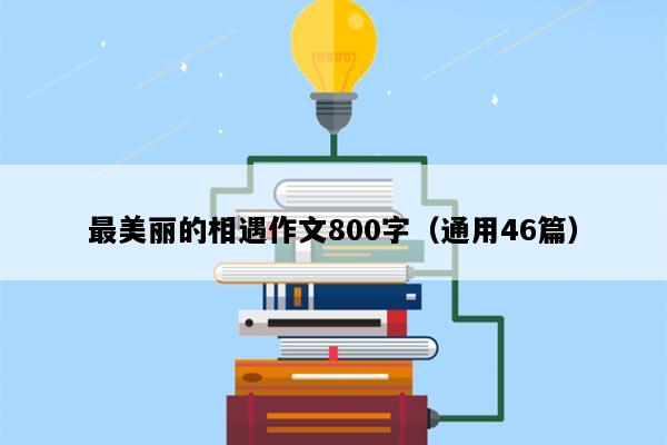 最美丽的相遇作文800字（通用46篇）