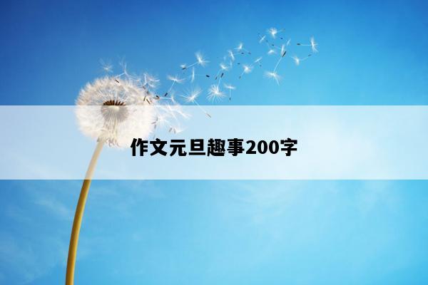 作文元旦趣事200字