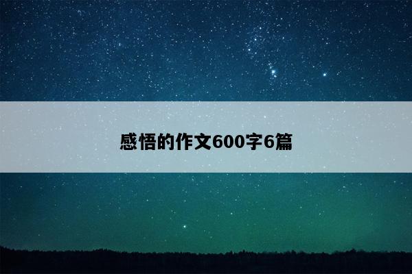 感悟的作文600字6篇