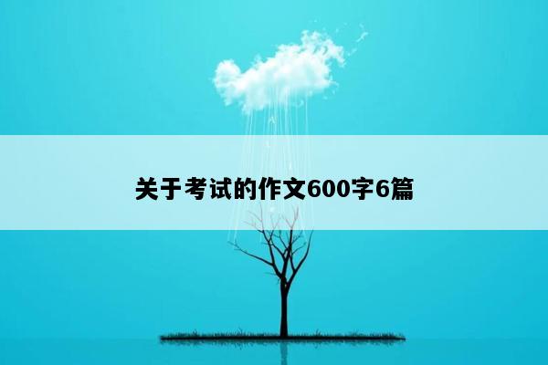 关于考试的作文600字6篇