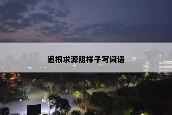 追根求源照样子写词语