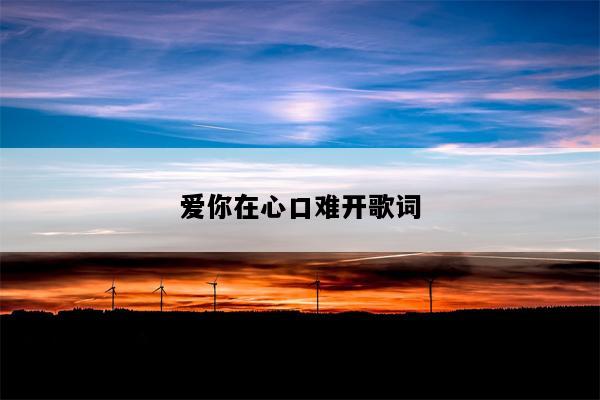 爱你在心口难开歌词