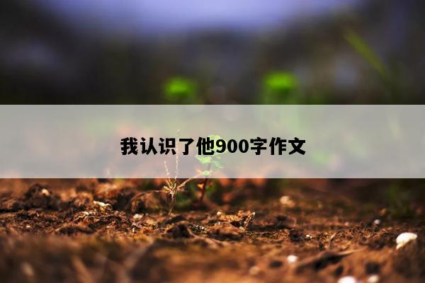我认识了他900字作文