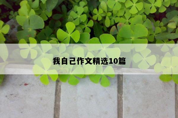 我自己作文精选10篇
