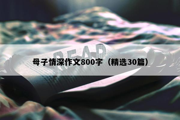母子情深作文800字（精选30篇）