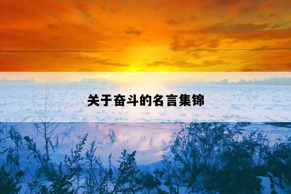 关于奋斗的名言集锦