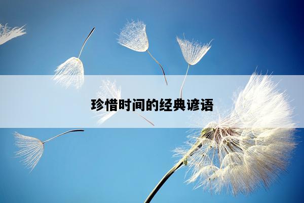 珍惜时间的经典谚语