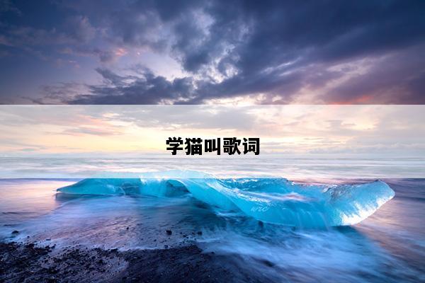 学猫叫歌词