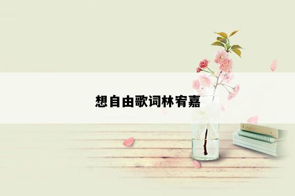 想自由歌词林宥嘉