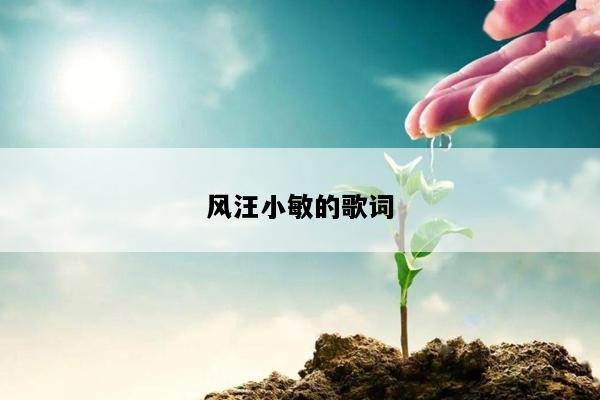风汪小敏的歌词