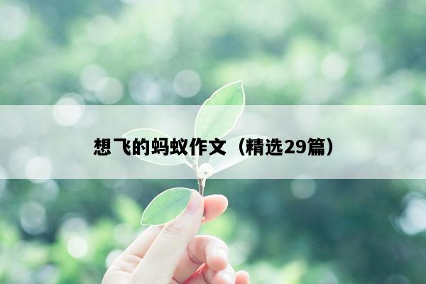 想飞的蚂蚁作文（精选29篇）