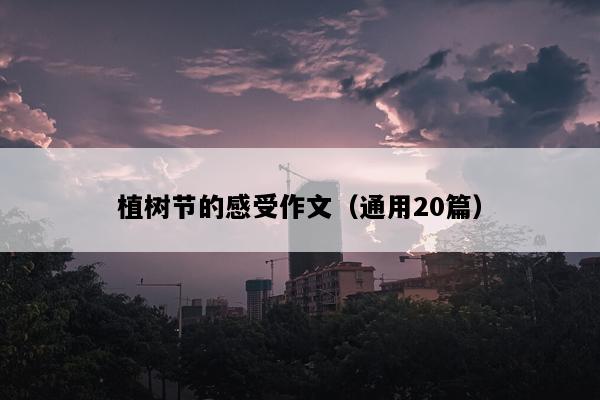 植树节的感受作文（通用20篇）