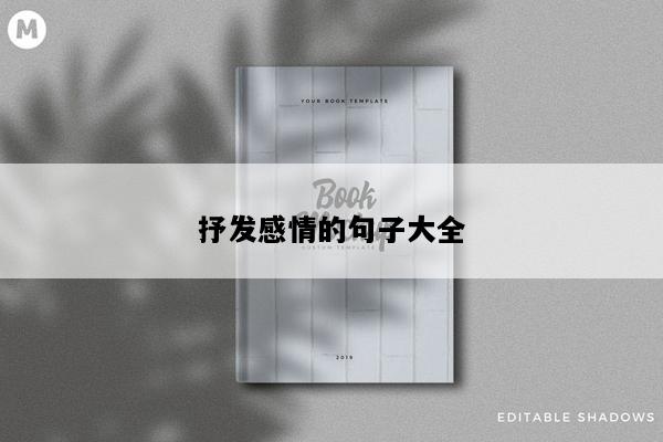 抒发感情的句子大全