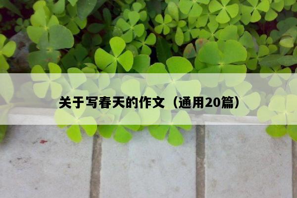 关于写春天的作文（通用20篇）