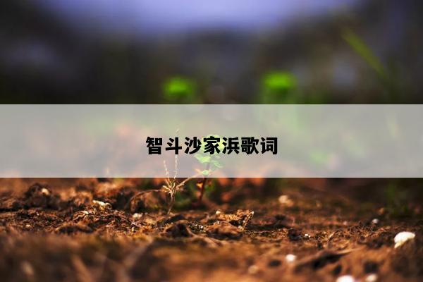 智斗沙家浜歌词