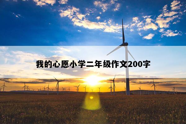 我的心愿小学二年级作文200字