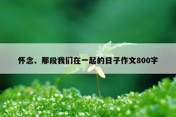 怀念、那段我们在一起的日子作文800字