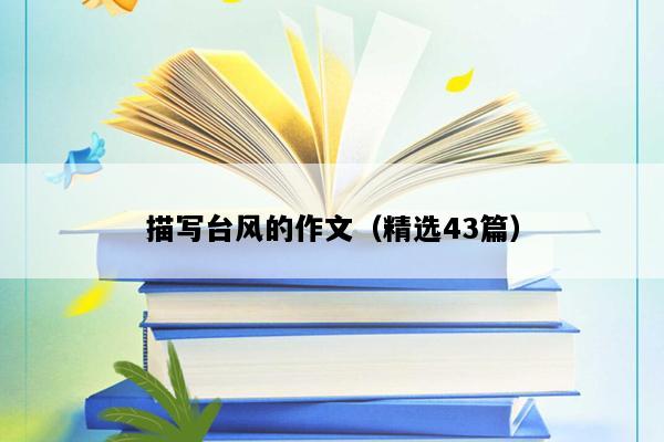 描写台风的作文（精选43篇）