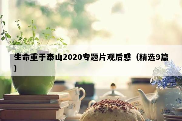 生命重于泰山2020专题片观后感（精选9篇）