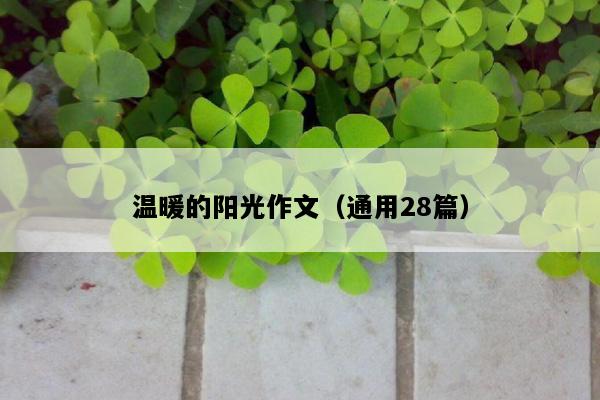 温暖的阳光作文（通用28篇）