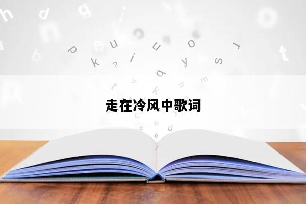 走在冷风中歌词