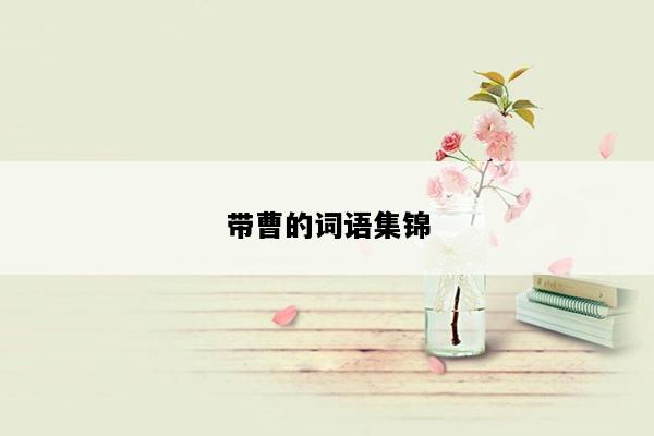 带曹的词语集锦