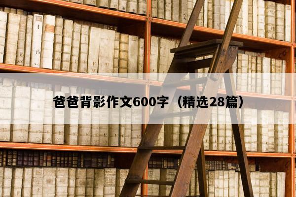 爸爸背影作文600字（精选28篇）