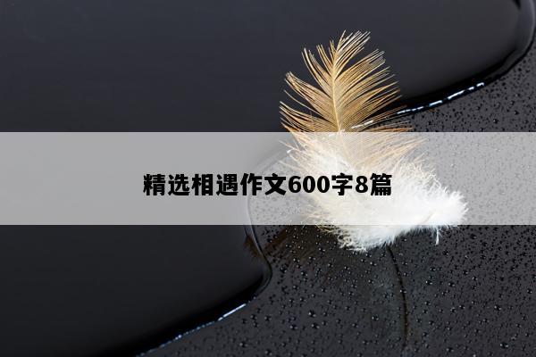 精选相遇作文600字8篇