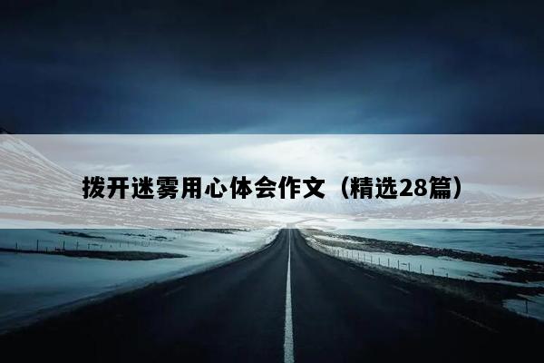 拨开迷雾用心体会作文（精选28篇）
