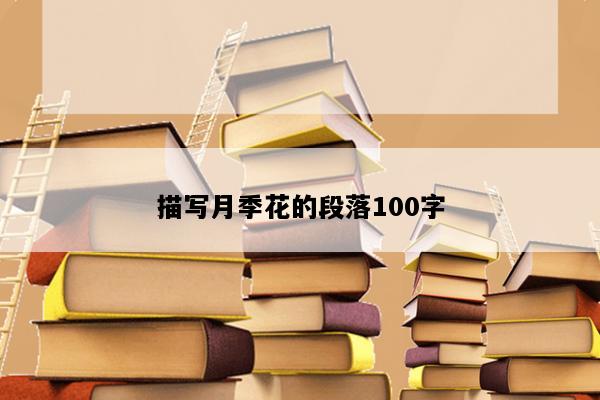 描写月季花的段落100字