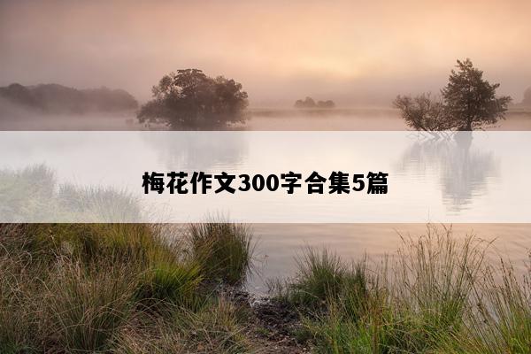 梅花作文300字合集5篇