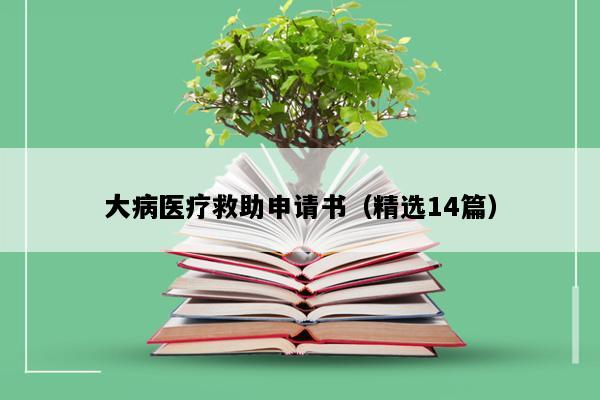 大病医疗救助申请书（精选14篇）