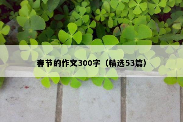 春节的作文300字（精选53篇）