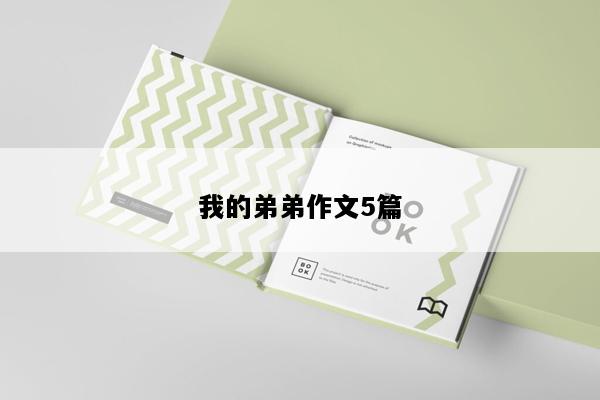 我的弟弟作文5篇