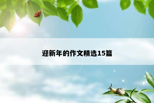 迎新年的作文精选15篇